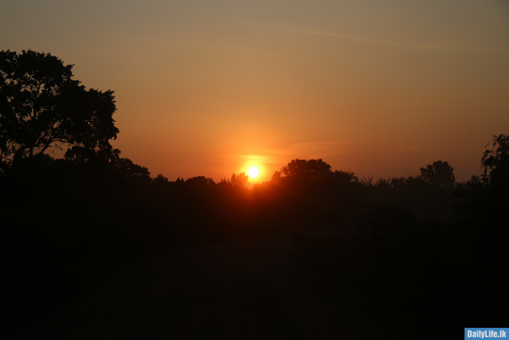 Sunrise at Yala National Park
